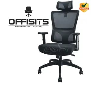 Backcare - High Back Executive Chair - 1 Year Warranty