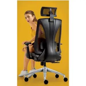 Executive Chair With Adjustable Lumbar Support