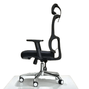 Executive Ergonomic Chair - Backcare