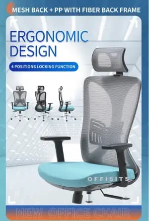 High Back Ergonomic Executive Chair - M22
