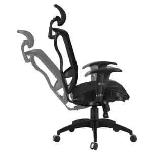 Relaxeat Ergonomic Executive Chair