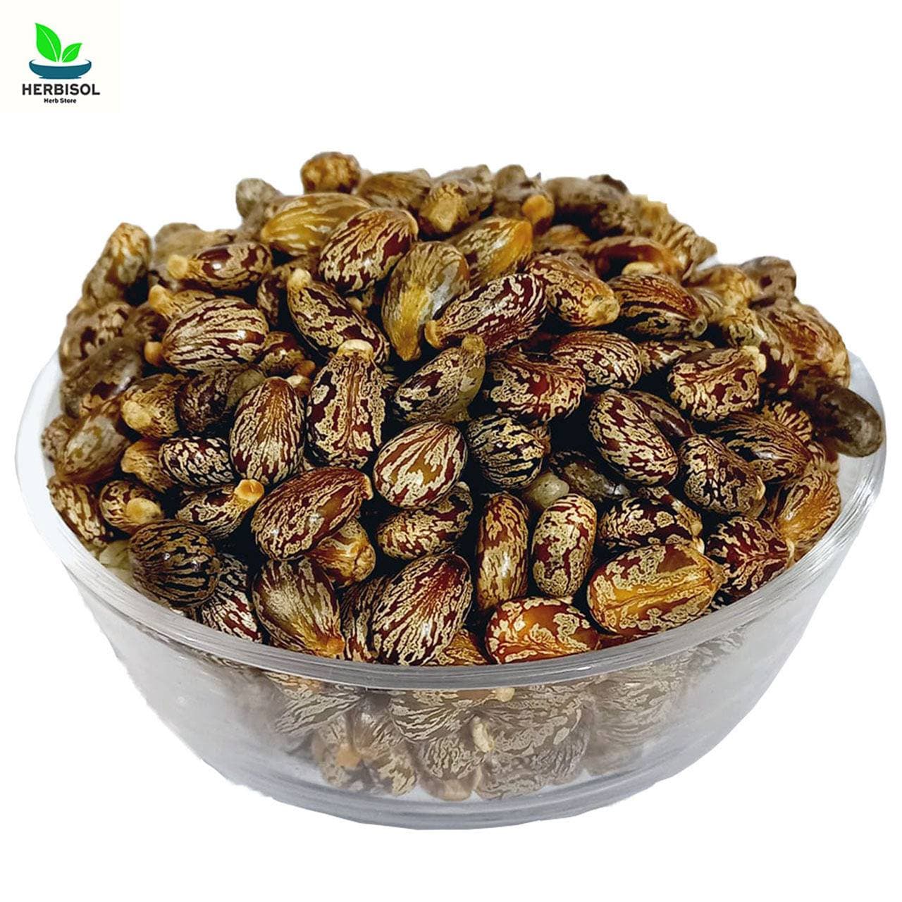 Arind Castor Beans by Sabir Sons