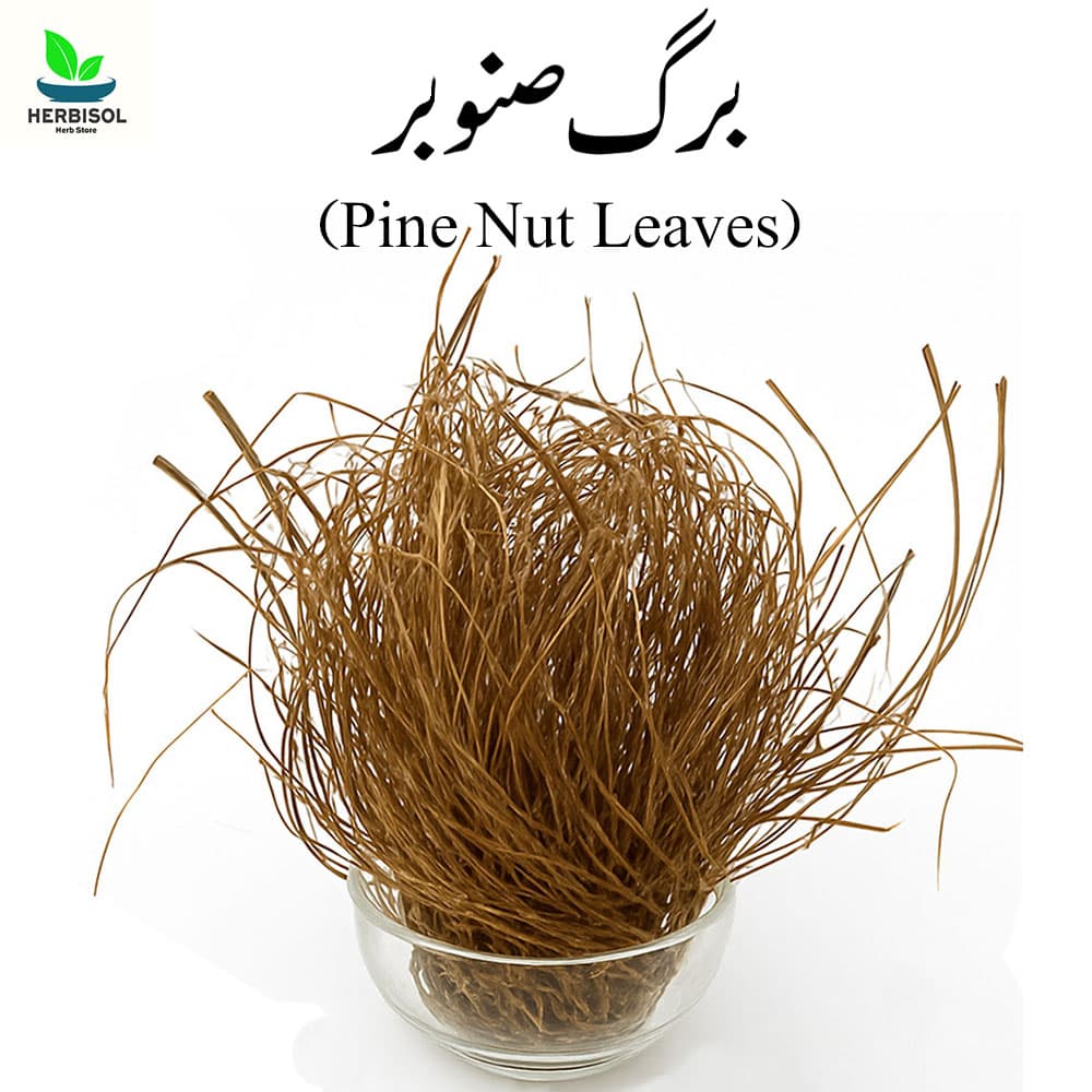 Barg E Sanober - Chilgoza Pattey Leaves Dry by Sabir Sons