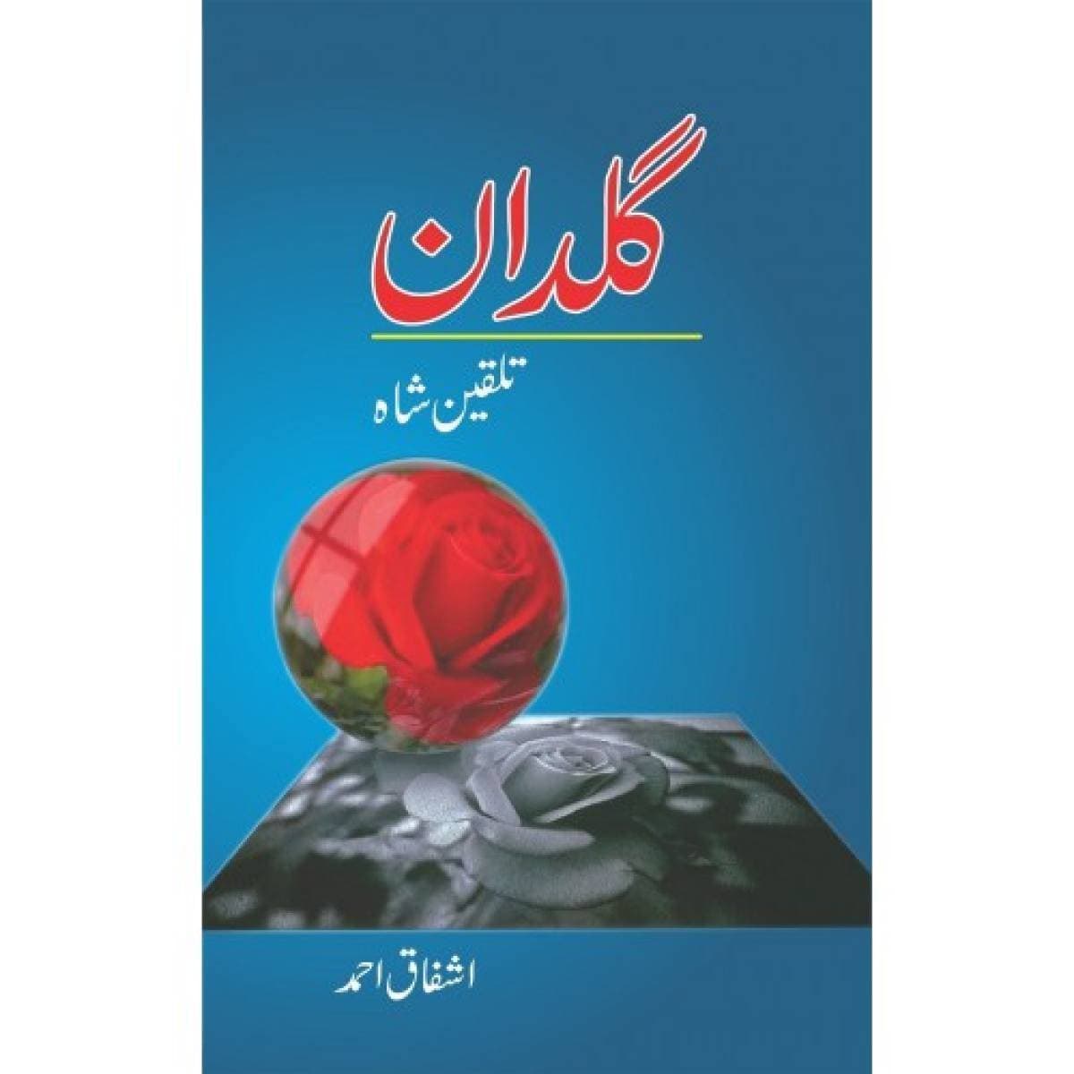 Guldaan Talqeen Shah Series By Ashfaq Ahmed
