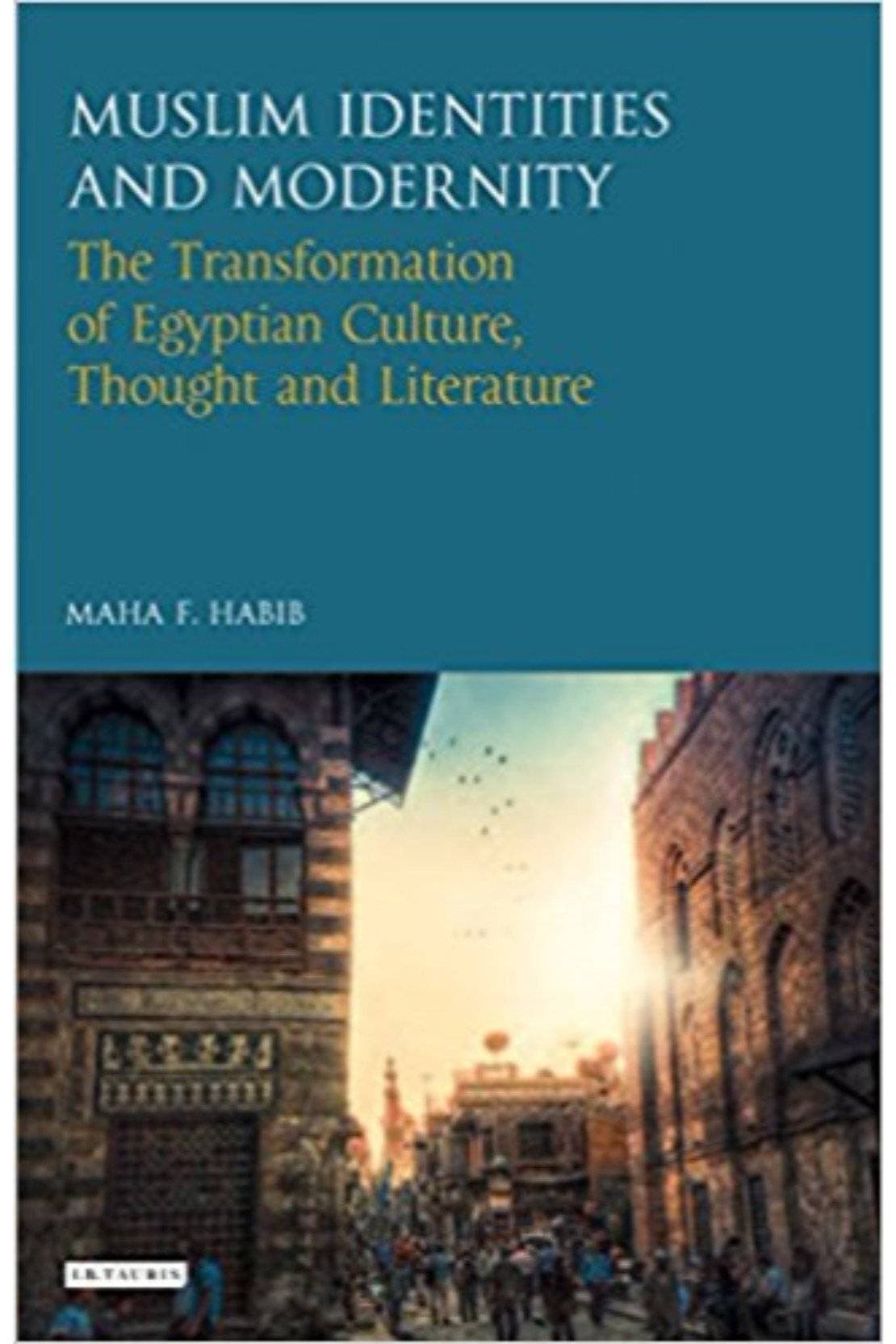Muslim Identities And Modernity The Transformation Of Egyptian Culture Thought And Literature (HB)